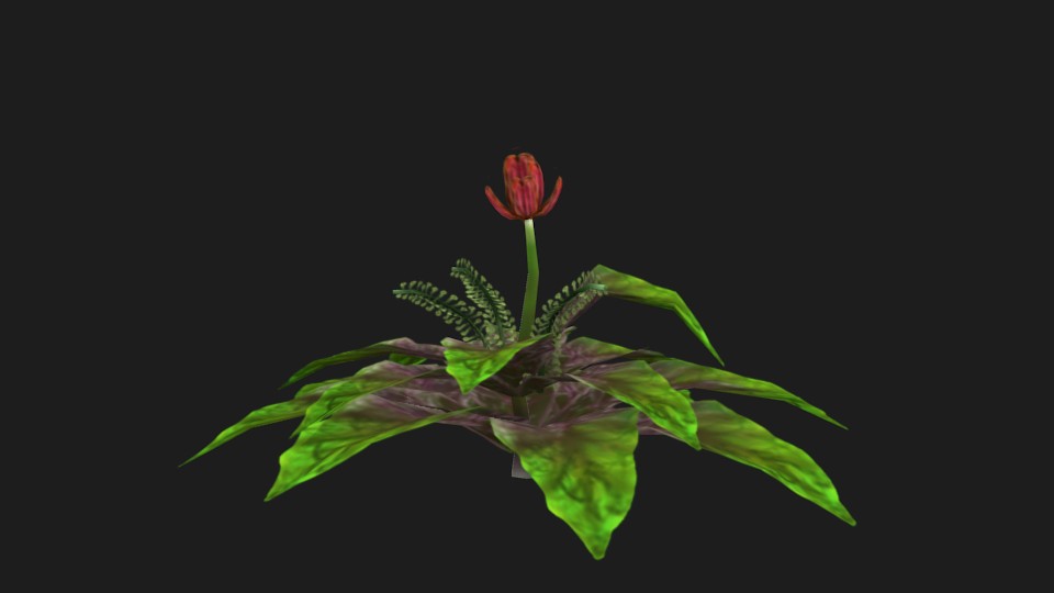 Fire Bloom-Plant preview image 1
